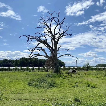 Hébergement de vacances Le Plessis *