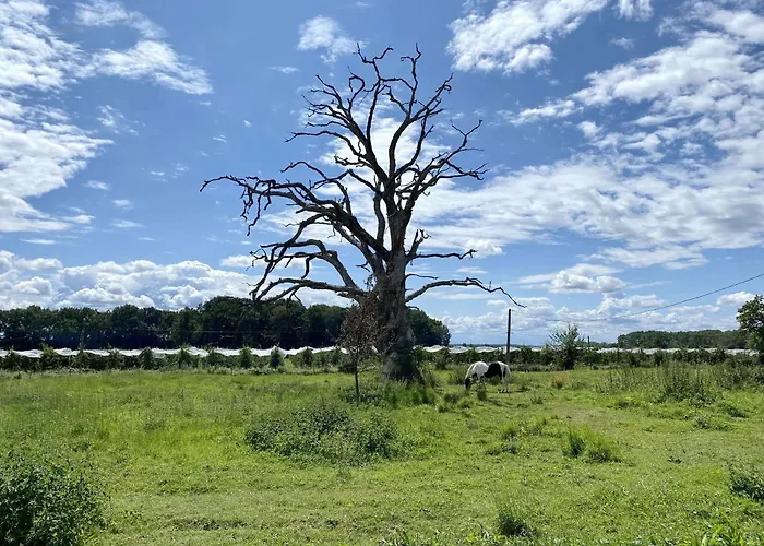 度假居 Le Plessis *