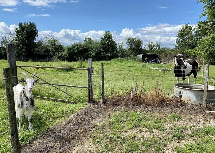 度假居 Le Plessis